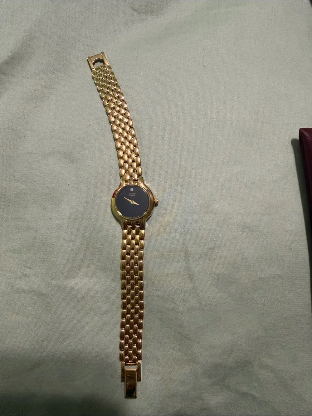 Citizen Gold-Tone Watch with Black Dial